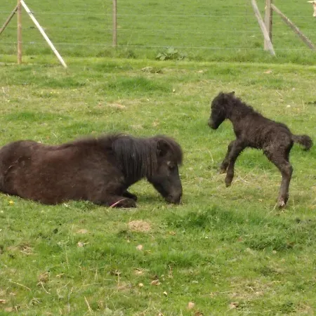Les Du Chateau De Maltot Casa vacanze Saint-Ouen-du-Breuil